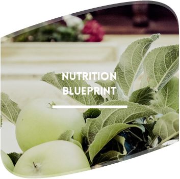 button-nutritionBlueprint